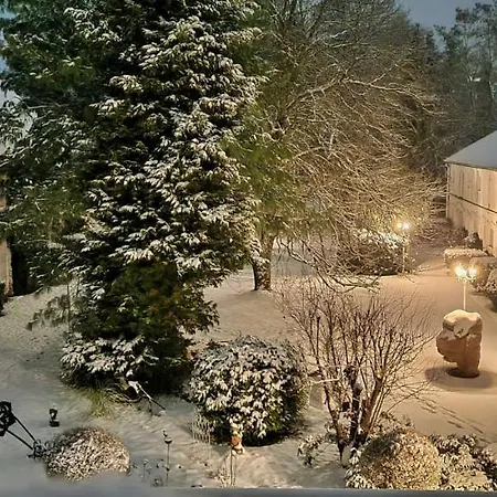 海恩奇利兹兰德酒店