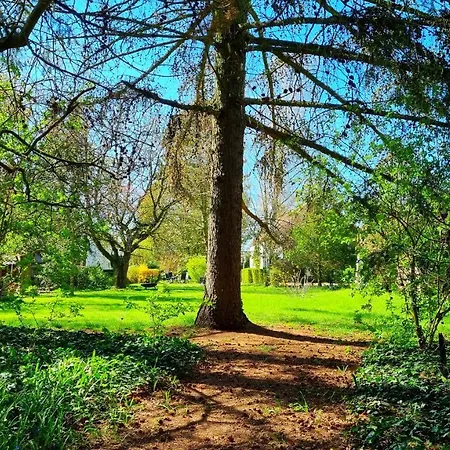 キリザー ランドホテル ハイン 3*