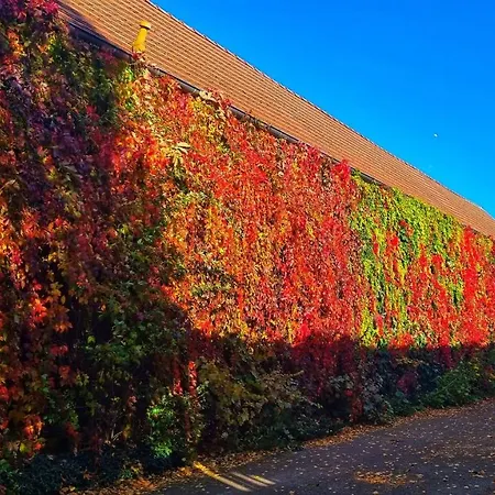 海恩奇利兹兰德酒店 屈里茨