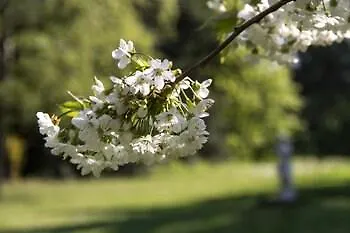 酒店 海恩奇利兹兰德酒店