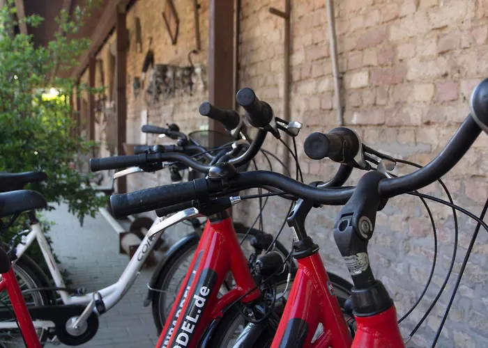 퀴릿처 란드호텔 하이너 호텔 퀴리츠